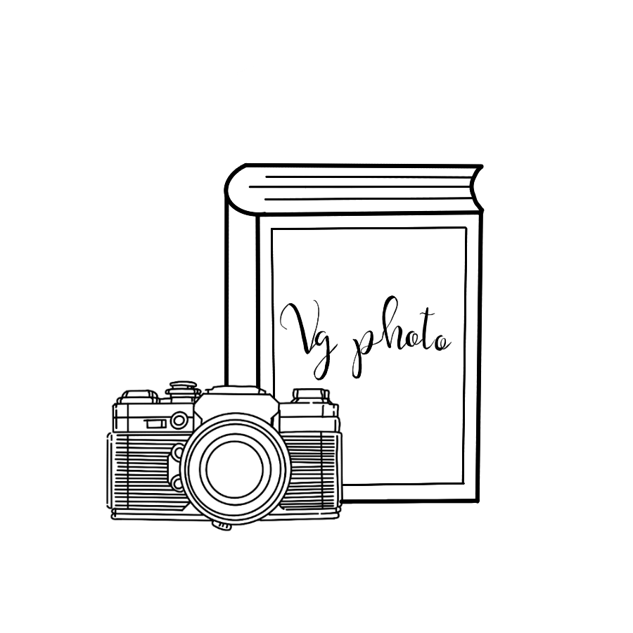 VGPhoto logo